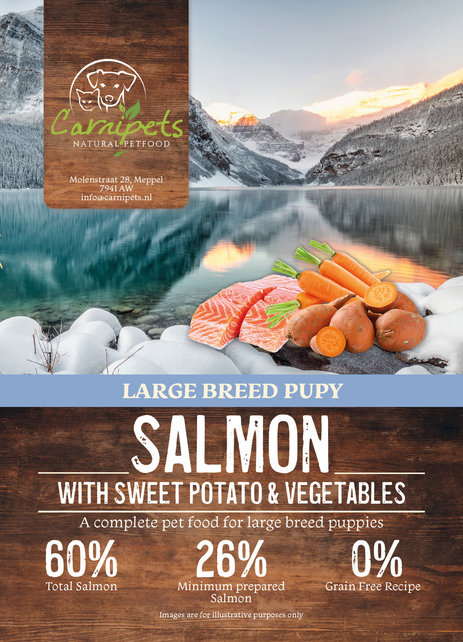 Graanvrij Puppy Groot Zalm 12 kg