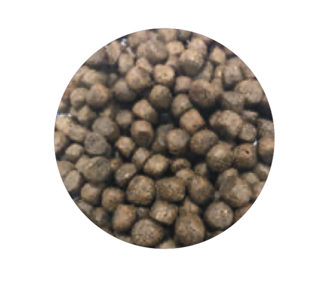 Graanvrij Puppy Zalm 2 kg