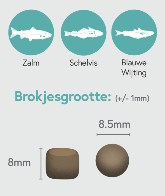 Graanvrij Puppy Zalm 12 kg