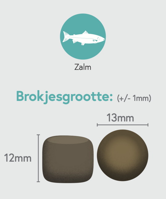 Graanvrij Puppy Groot Zalm 12 kg