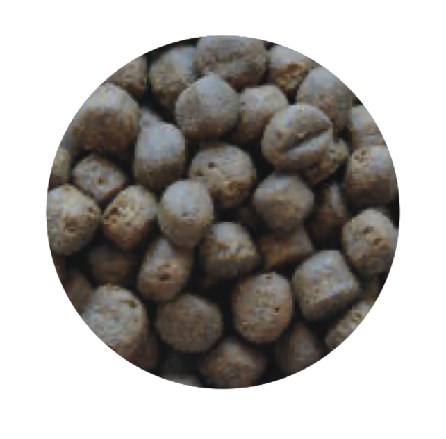 Graanvrij Puppy Groot Zalm 12 kg