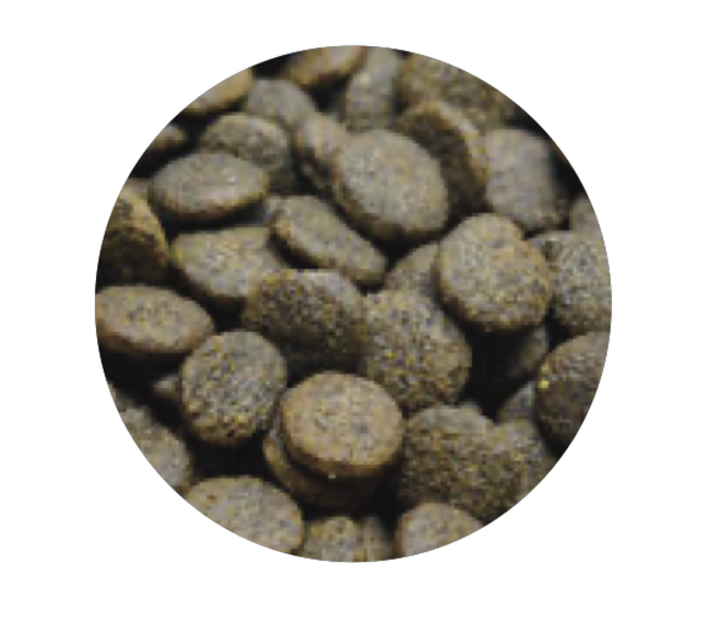 Graanvrij Volwassen Hond Tonijn 2 kg