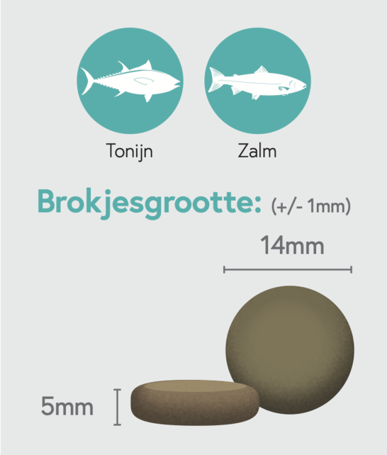 Graanvrij Volwassen Hond Tonijn 2 kg