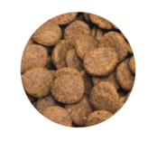 Graanvrij Volwassen Hond Eend 12 kg