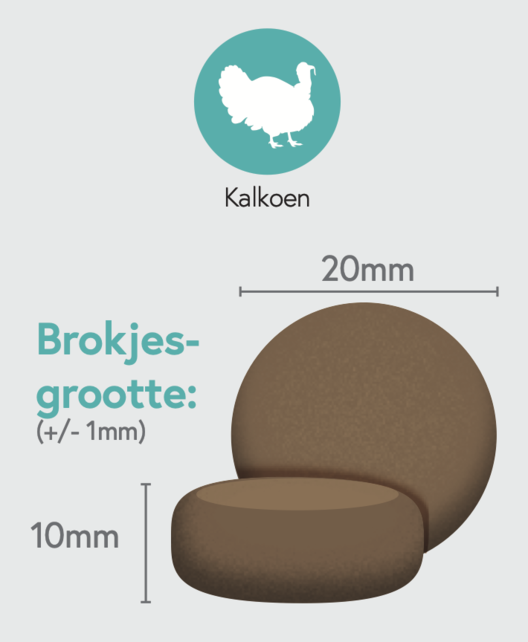 Graanvrij Volwassen Hond Groot Kalkoen 12 kg