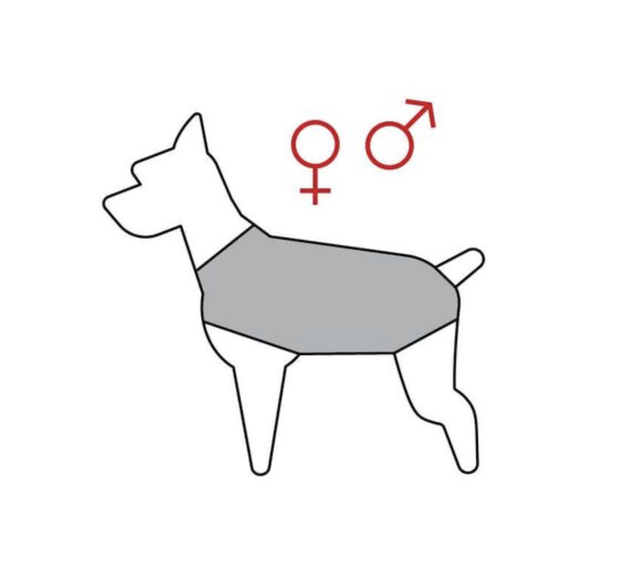 Regenjas Rood ruglengte 30cm