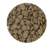 Graanvrij Volwassen Hond Zalm 12 kg