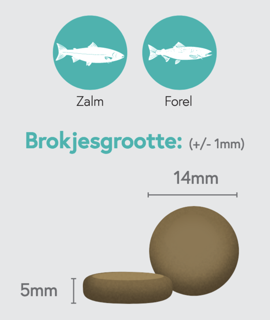 Graanvrij Volwassen Hond Zalm 2 kg