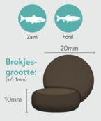 Graanvrij Volwassen Hond Groot Zalm 12 kg