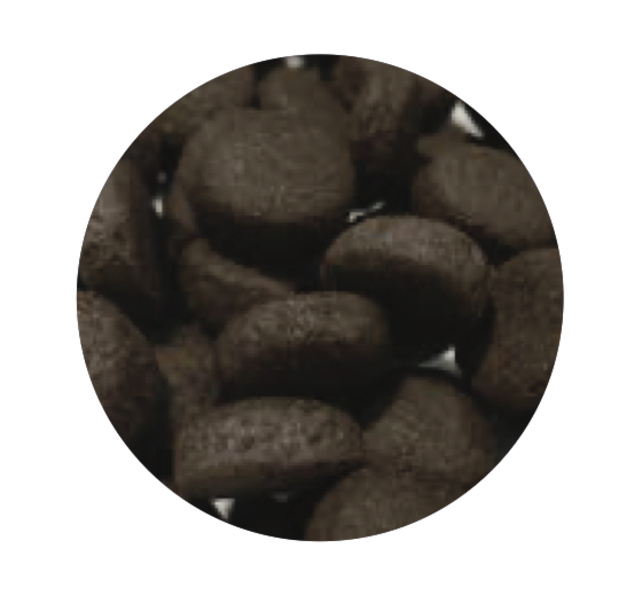 Graanvrij Volwassen Hond Groot Zalm 12 kg