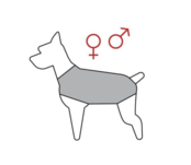 Winterjas Zwart ruglengte 60 cm