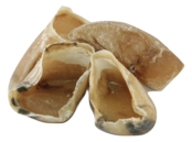 Kauwhoefjes Kalf 10 stuks