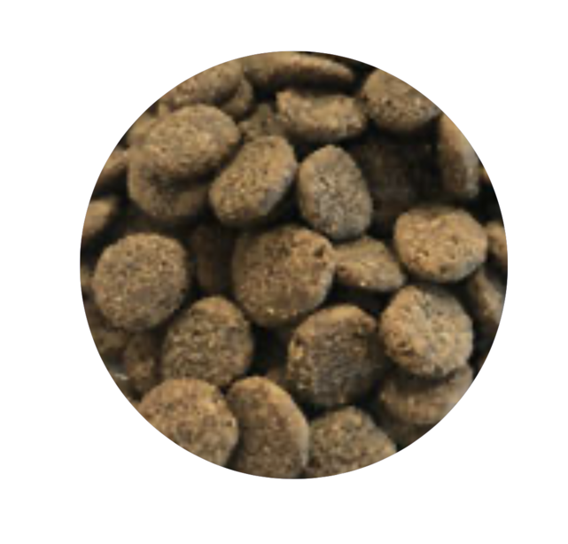 Graanvrij Angus Rundvlees 12 kg