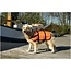 Beeztees Veiligheidsvest/Zwemvest SM - 7-9Kg