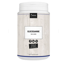 Glucosamine 500 gram