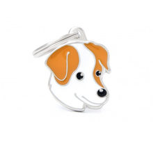 Penning White And Brown Jack Russell