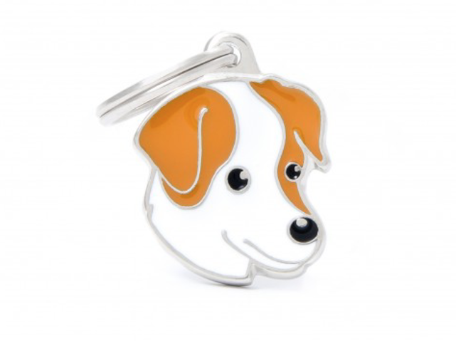 Penning White And Brown Jack Russell