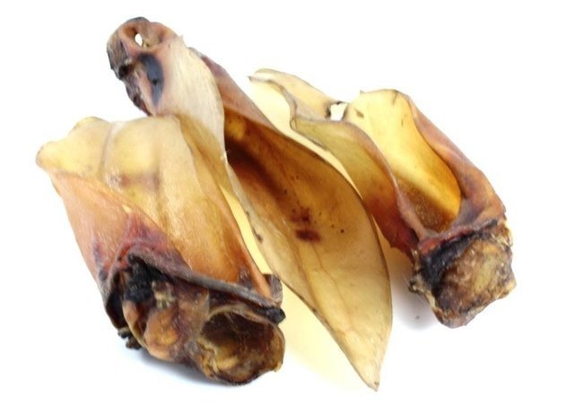 AKTIE!! Buffeloor met schelp 50 stuks