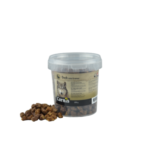 Mini trainer Eend 250 gram (emmertje)