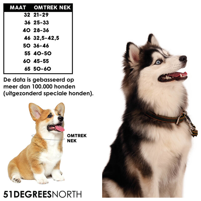 Milano - Collar - Classic - Grey - 16mm x 40cm