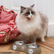 51 Degrees North Double Dinner Bowl Bleek Taupe M (2x350ml)