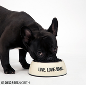 51 Degrees North Single Dinner Bowl Eggshell White M (350ml)