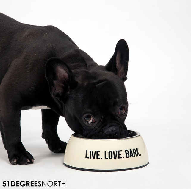 51 Degrees North Single Dinner Bowl Eggshell White M (350ml)