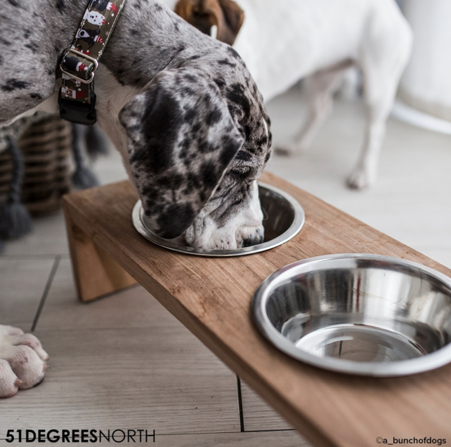 51 Degrees North Double Dinner Bowl Teak High L (2x600ml)