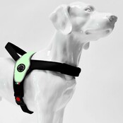 Tre Ponti Primo Mint Reflective L 20-30kg