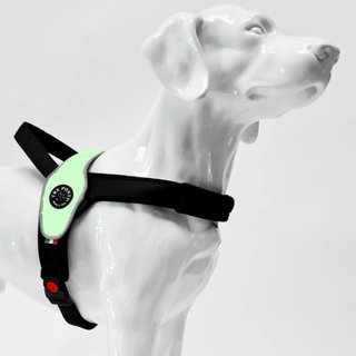 Tre Ponti Primo Mint Reflective L 20-30kg