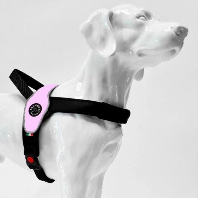 Tre Ponti Primo Lila Reflective M 10-20kg