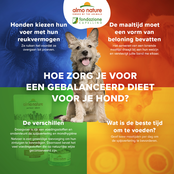 Holistic Droogvoer Puppy Kip 12kg (M/L)