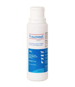Traumeel s Gel 250 ml Traumeel s Gel 250 ml