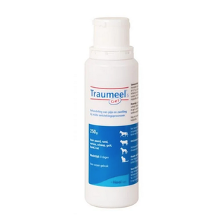 Traumeel s Gel 250 ml
