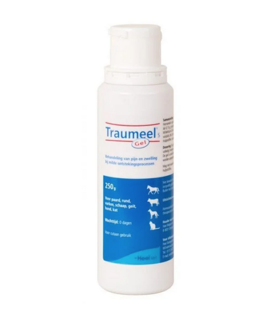 Traumeel s Gel 250 ml Traumeel s Gel 250 ml