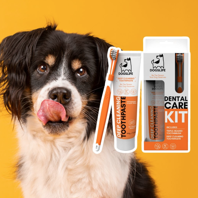 DogsLife Dental Kit