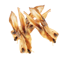 Konijnenoren gedroogd 100 gram