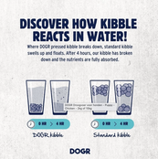 Adult  Chicken  10kg