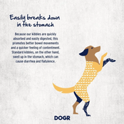 Adult  Ocean Fish  2kg