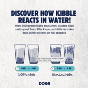 Adult  Ocean Fish  10kg