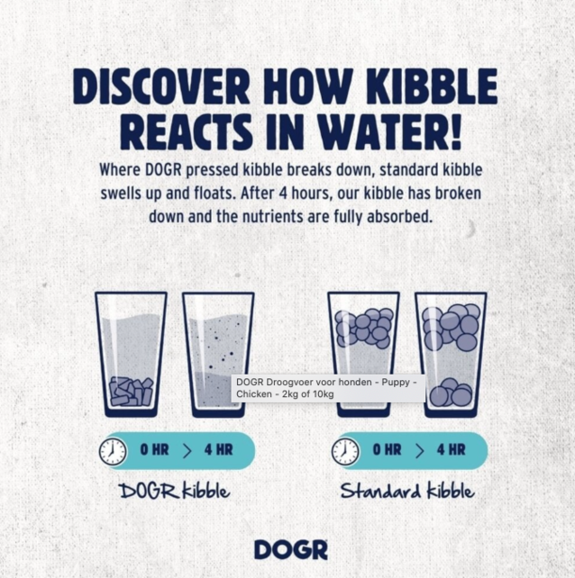 Adult  Ocean Fish  10kg