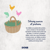 Adult  Ocean Fish  10kg