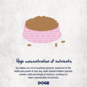 Adult  Ocean Fish  10kg