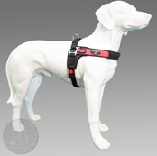 Tre Ponti Forza Rood Standaard L 20=30kg