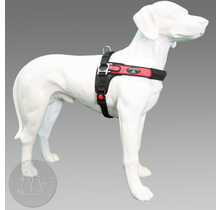 Tre Ponti Forza Rood Standaard L 20=30kg