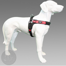 Tre Ponti Forza Rood Standaard L 20=30kg