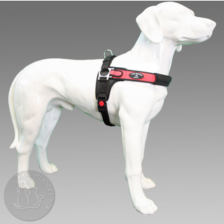 Tre Ponti Forza Rood Standaard L 20=30kg