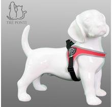 Tre Ponti Fibbia Verstelbaar Rood 9-14 kg (4)