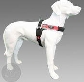 Forza Rood reflective L 20-30 kg