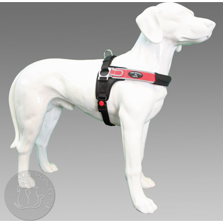Forza Rood reflective L 20-30 kg
